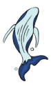 whale